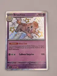 carte pokemon briochien 161/091 ev4.5