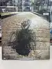 vinyle johnny hallyday - flagrant delit
