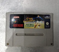 jeu snes eric cantona football challenge