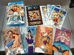 dvd one piece - intégrale partie 1 - édition collector limitée a4
