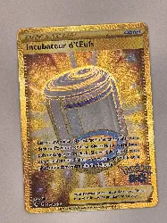 carte pokémon incubateur d'oeufs 087/078, pokémon go