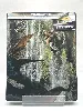 jurassic world : renaissance - 4k ultra hd + blu - ray - édition steelbook limitée
