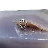 pandora charm argent en forme de coeur argent 925 millième (22 ct) 1,74g