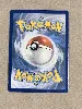 carte pokemon raikou v 048/172