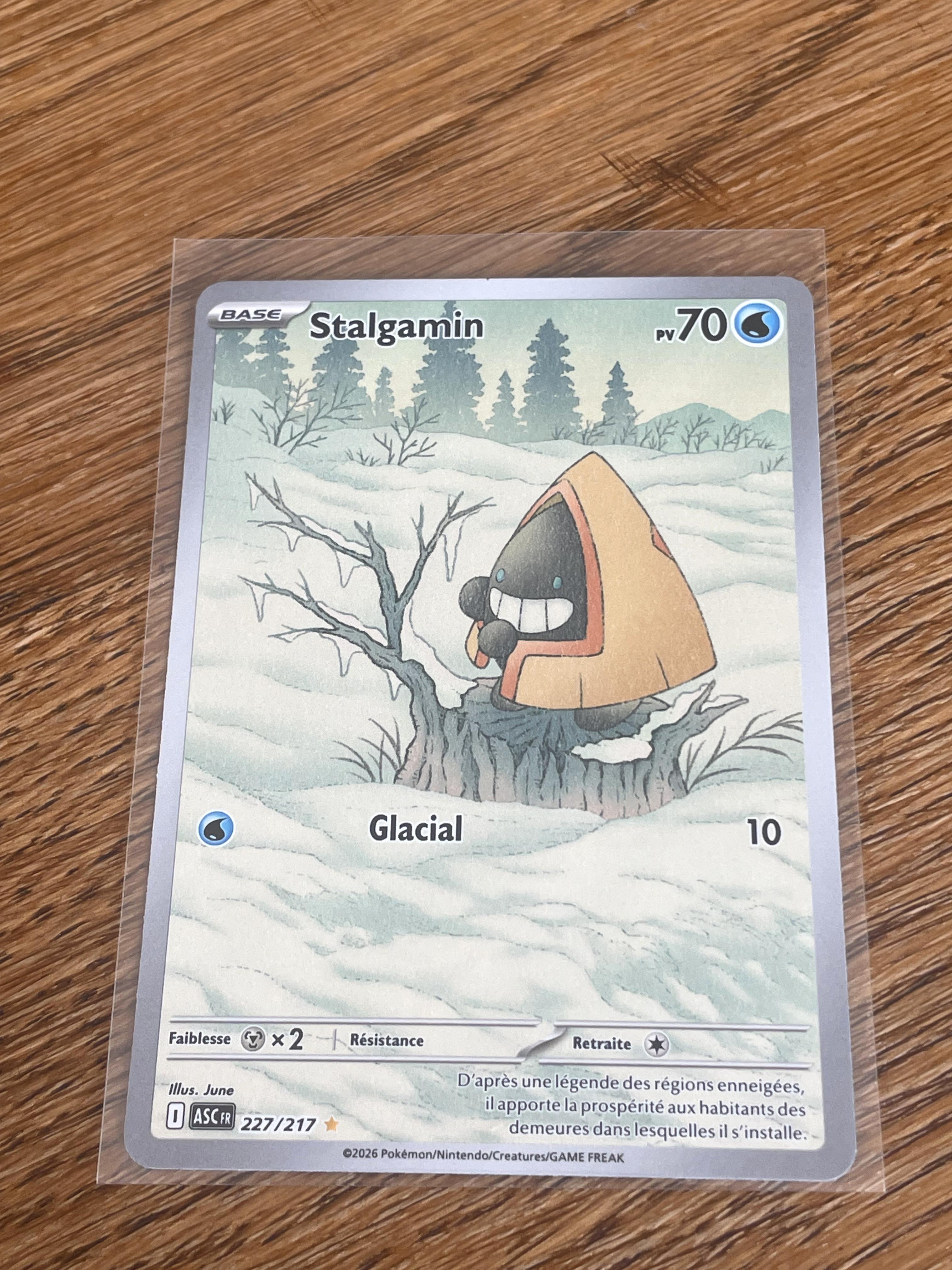 Carte Pokémon Stalgamin 227/217 FR