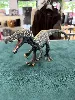 jouet dinosaure baryonyx - schleich