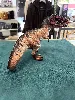 jouet dinosaure giganotosaure - figurine schleich