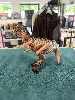 jouet dinosaure giganotosaure - figurine schleich