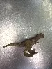 jouet mini dinosaure