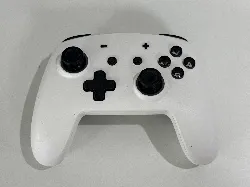 manette sans fil pour nintendo switch - blanche - rgb - sp02