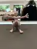 figurine pokémon grand