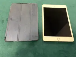 tablette apple ipad mini 5 wi - fi 64 go 7.9 pouces or