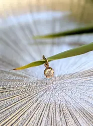pendentif solitaire serti d'un oxyde or 585 millième (14 ct) 0,67g