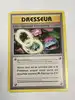 carte pokémon dresseur  lien spirituel florizarre 89/108