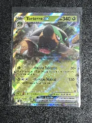 carte pokémon torterra ex 012/162 fr nm