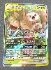carte pokémon brindibou et noadkoko d'alola gx 1/236