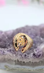 bague or motif cheval et fer or 750 millième (18 ct) 9,80g