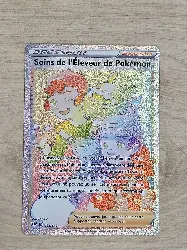 carte pokémon soins de l'éleveur de pokémon 195/189 fr