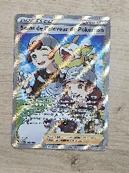 carte pokémon soins de l'éleveur pokémon 188/189 fr