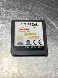 jeu nintendo ds imagine champion rider alexandra ledermann