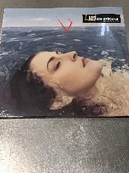 vinyle source canine