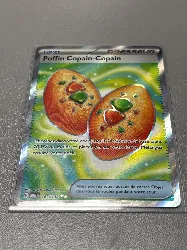 carte pokémon poffin copain-copain 167/132