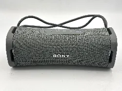 enceinte portable sony ult field 1 gris forêt