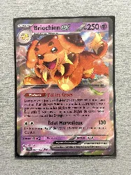 carte pokémon briochien ex 067/142