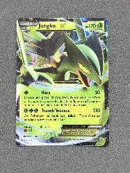 carte pokemon jungko ex xy53