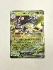 carte pokemon terracruel ex 022/197
