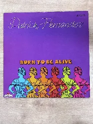 vinyle patrick hernandez born to be alive (1979)
