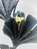 broche or colibris emaillée or 750 millième (18 ct) 9,68g