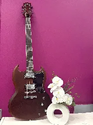 shiver ges-80 - guitare électrique - dark brown