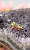 boucles d'oreilles forme papillon chacune sertie d'un rubis or 750 millième (18 ct) 0,74g