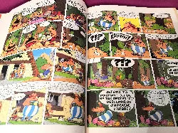 livre astérix tome 19 - le devin