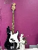 basse 4 cordes fender squier pbass