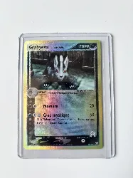 carte pokémon grahyena 15/95