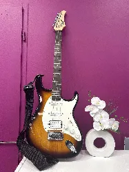 guitare cort style start