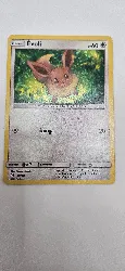carte pokemon evoli 40/40
