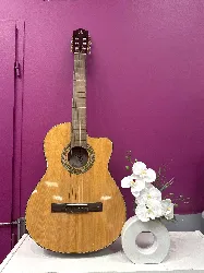 guitare electro acoustique elypse baia