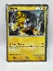 carte pokemon raikou hgss19