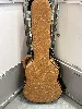 etui pour guitare arthur et benedykt