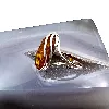 bague en argent ambre naturel avec inclusions t56 argent 925 millième (22 ct) 3,43g