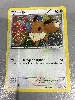 carte pokemon evoli 12/12