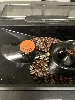 krups ea8738 semi - automatique machine à expresso 3 l