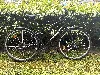 velo btwin riverside 100