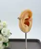 23046705 anneau d'oreille unitaire serti d'oxydes multicolores