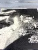 cd alain bashung - à perte de vue (2009)