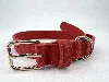 collier pour chien dolce gabbana fefé en cuir rouge-orangé