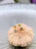 boucles d'oreilles or puces chacune sertie d'un petit diamant d'environ 0,05ct or 750 millième (18 ct) 1,13g